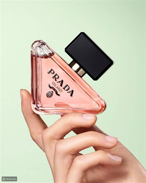 prada paradox scent|Prada paradoxe echo.